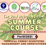 SUMMER COURSE