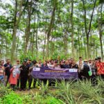 Dosen IPB bocorkan tips seleksi sengon unggul pada Petani di Jawa Timur