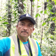 Sambut Hari Keanekaragaman Hayati, IPB University Dukung Lutung Sentarum (Presbytis cruciger) Jadi Satwa Dilindungi