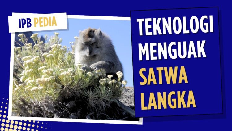 Kemunculan Kembali Satwa Langka melalui Tangkapan Teknologi Konservasi