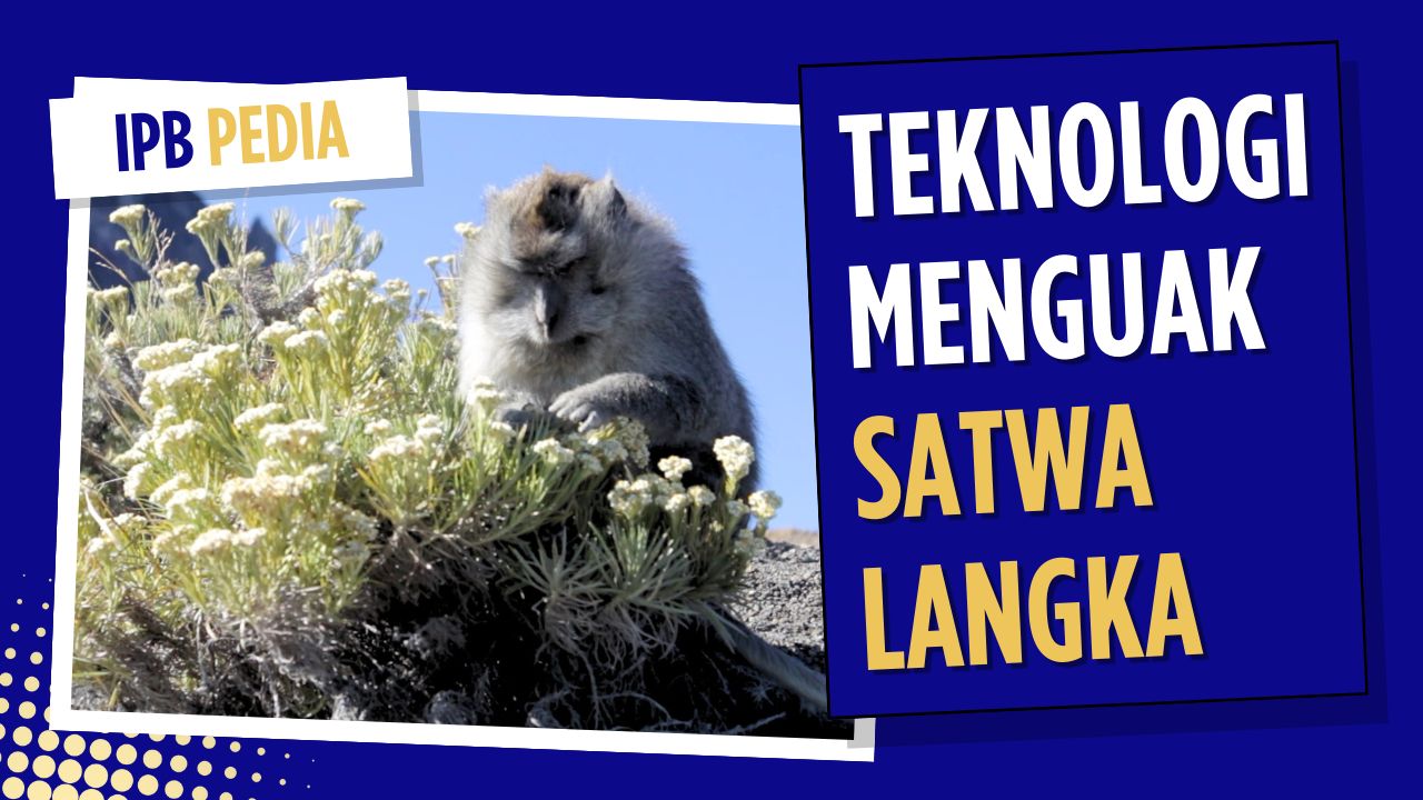 Kemunculan Kembali Satwa Langka melalui Tangkapan Teknologi Konservasi